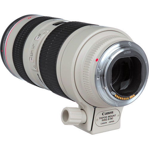Canon EF 70-200mm f/2.8L USM