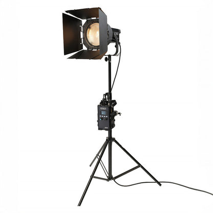 Nanlite Forza 300B II + FL20G Kit